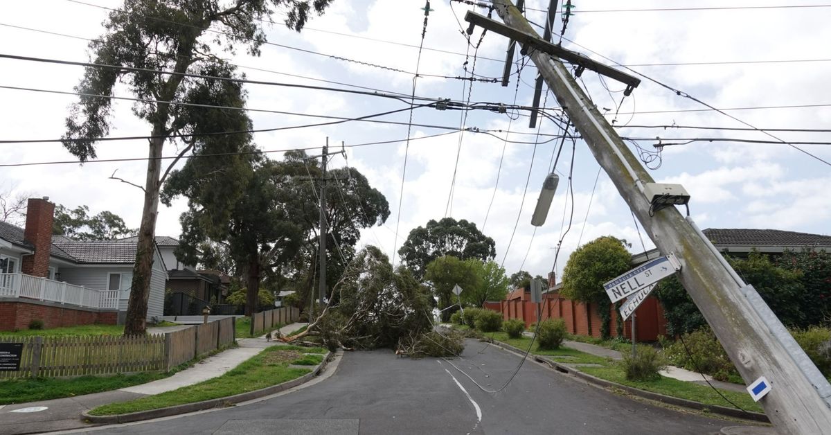 Crews work to restore power to 40,000 Victorians after wild weather [Video]