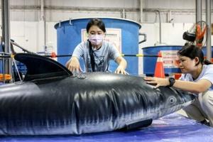 Taiwan volunteers fight rise in whale and dolphin strandings [Video]