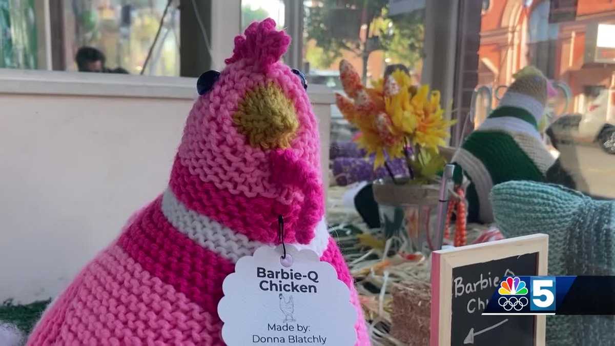 Place a bid to win a hand-knit chicken: How you can support local organizations in St. Albans [Video]