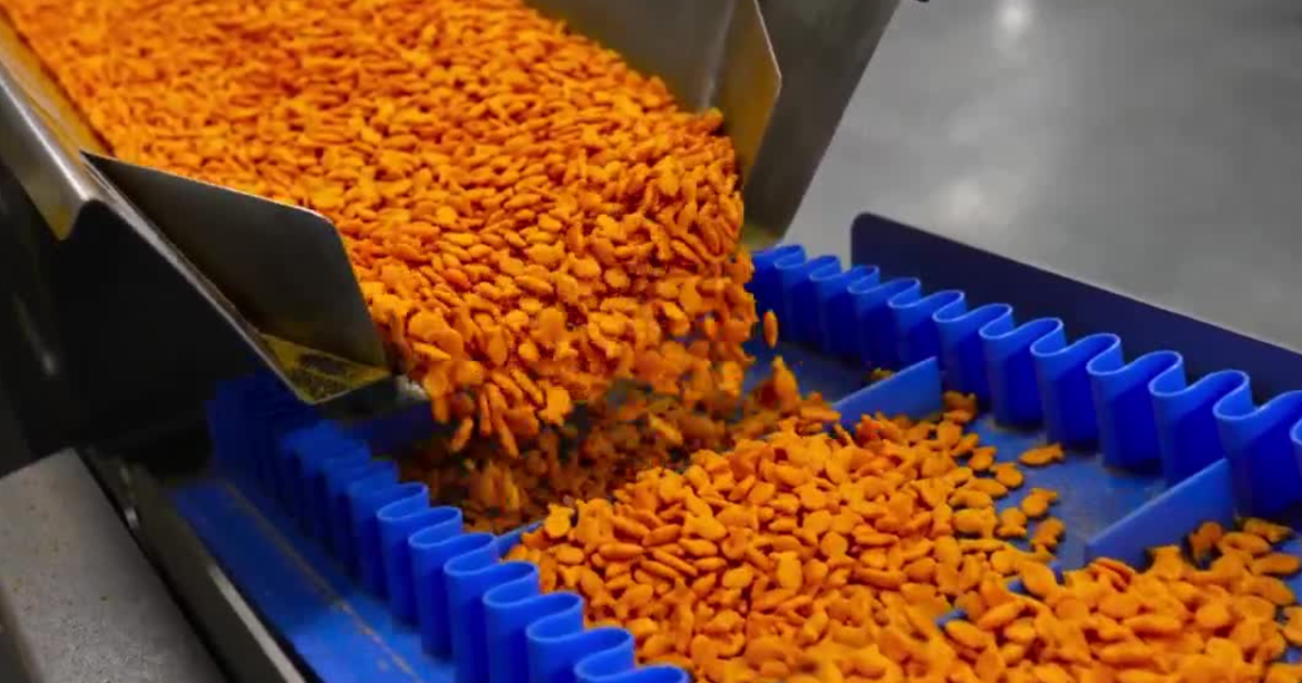 Gone fishin’; Goldfish business continues to boom in Utah [Video]