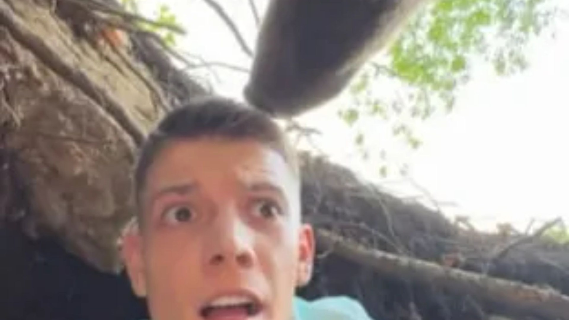 Heart-stopping moment idiot comes face-to-face with massive bear after trying to sneak into beasts den [Video]