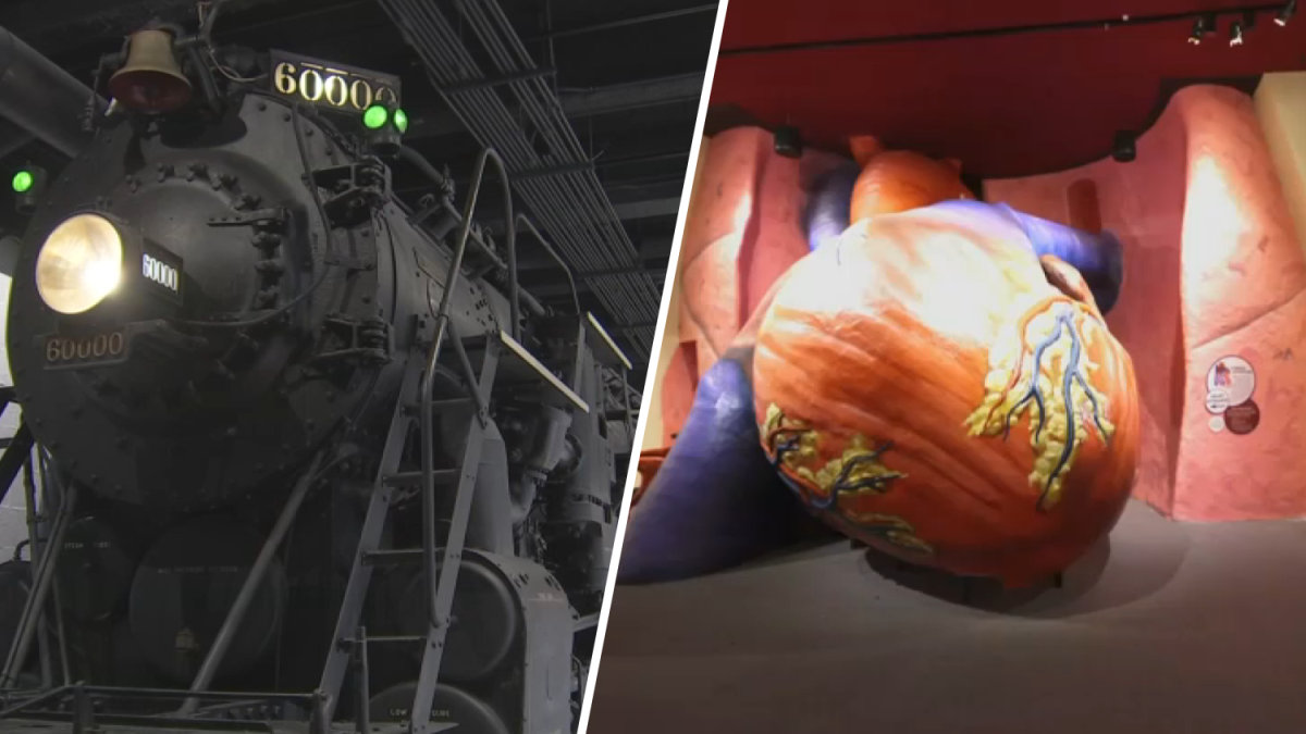 New exhibits, upgrades to old favorites at Franklin Institute  NBC10 Philadelphia [Video]