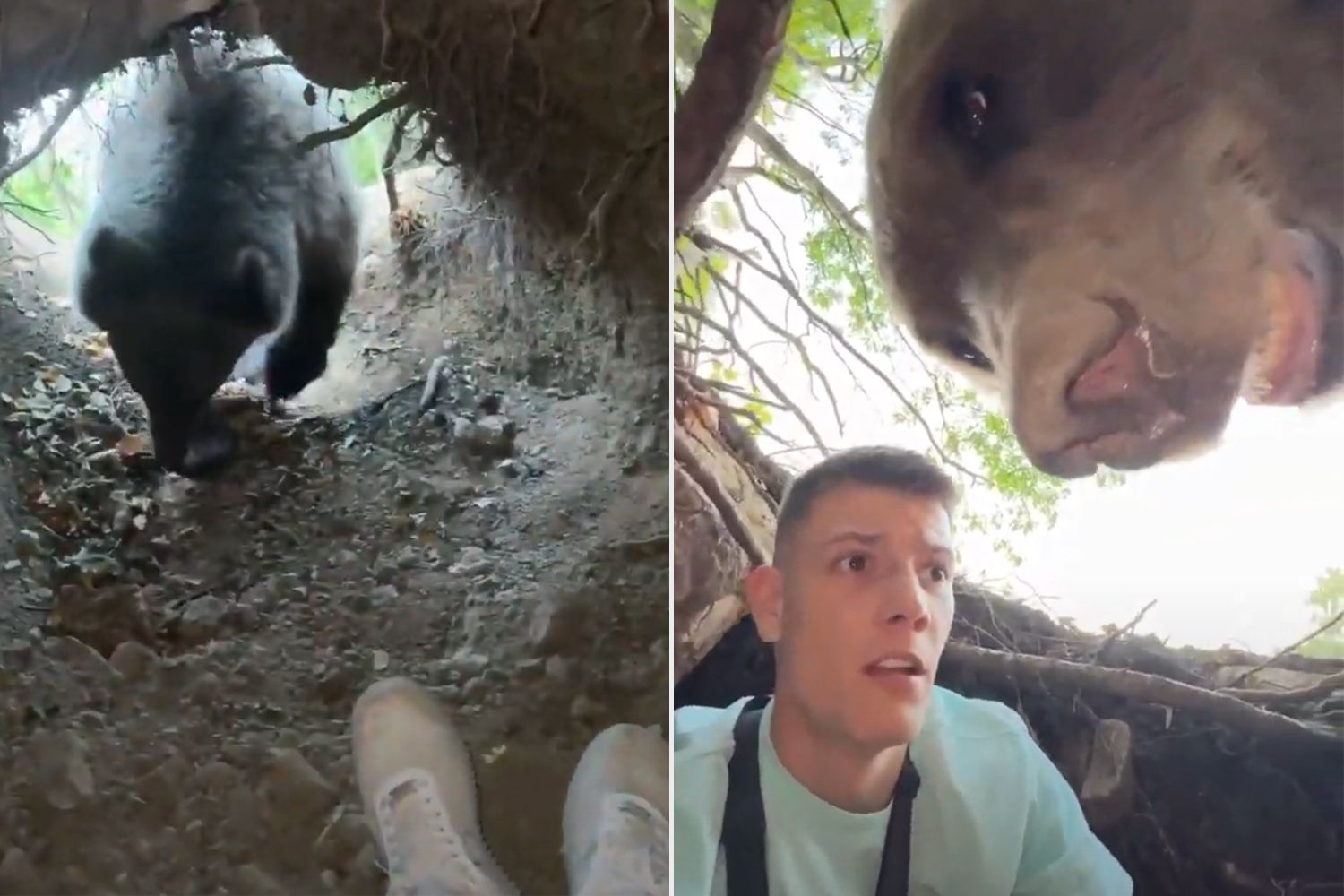 Influencer Has Scary Close Encounter with Bear After Entering Den [Video]