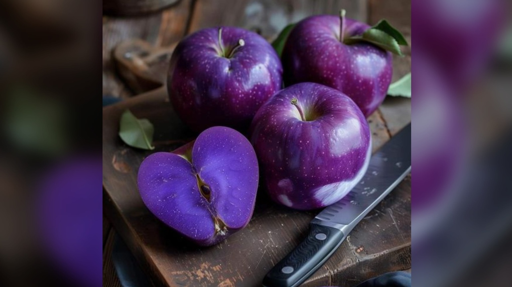 AI photo of purple apples growing in Sask. sparks attention [Video]