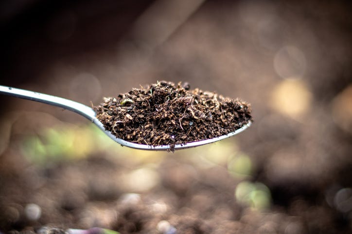 Eating dirt becomes a hot new trend [Video]