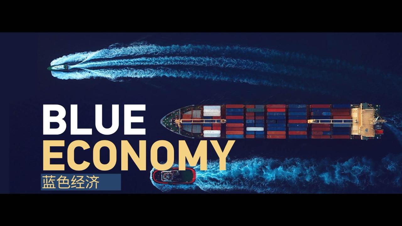 Blue Economy – CGTN [Video]