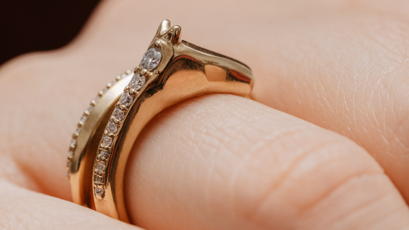 One-of-a-kind diamond ring to be auctioned in support of horses in need [Video]