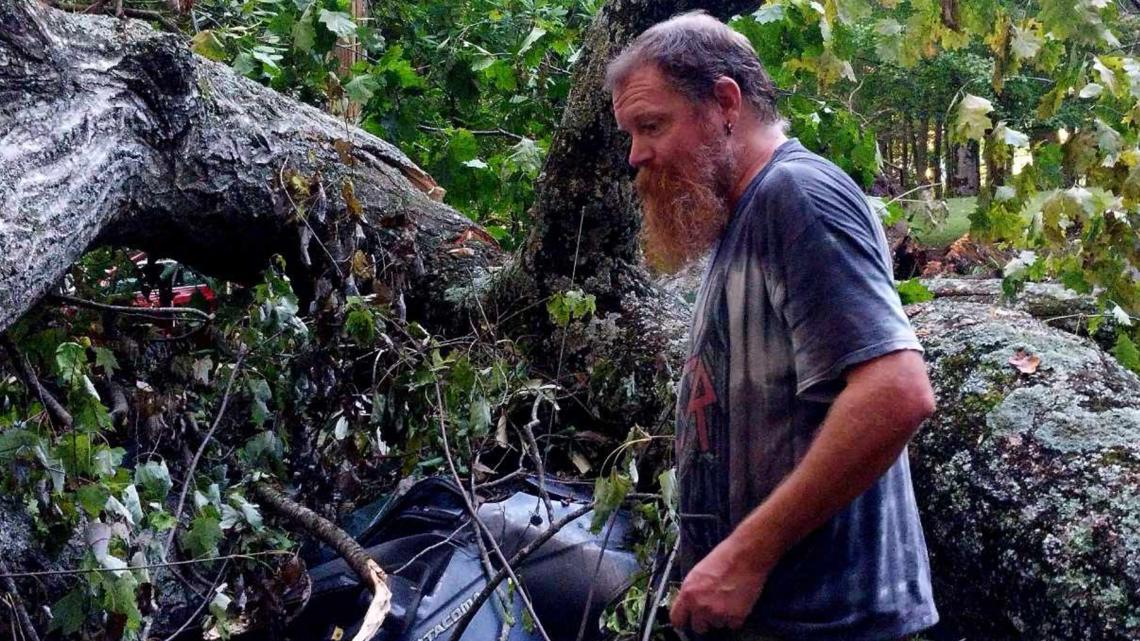 ‘Godzilla tree’ toppled by Helene crushes pickup [Video]