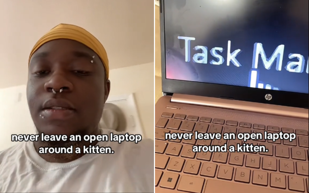 Kitten Owner Leaves Laptop Unattended for 3 MinutesReturns to Chaos: ‘How?’ [Video]