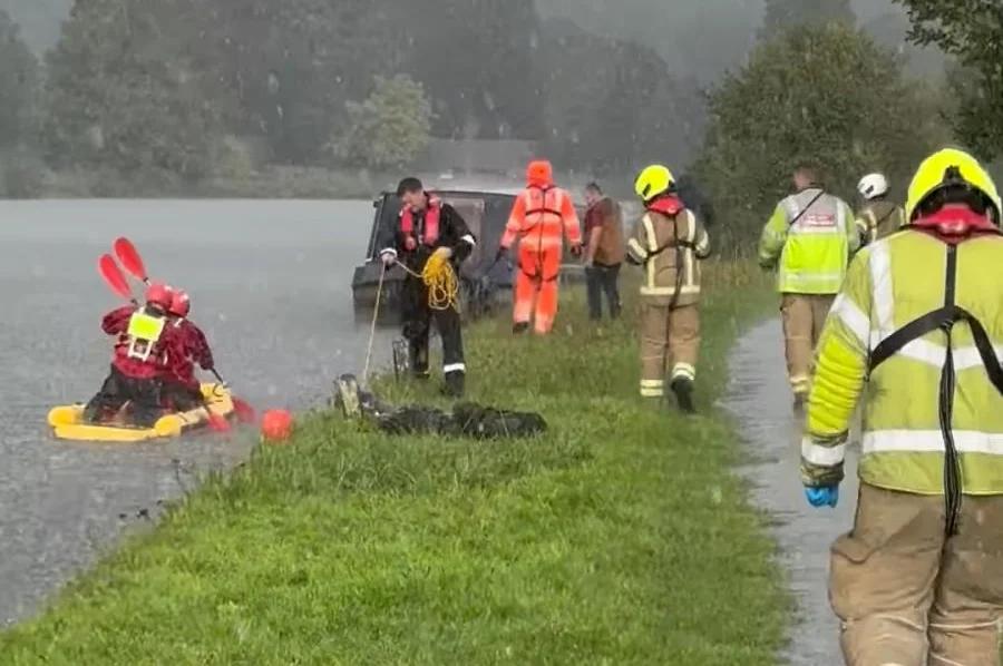 Watch: Stranded calf fished out of England’s River Thames [Video]