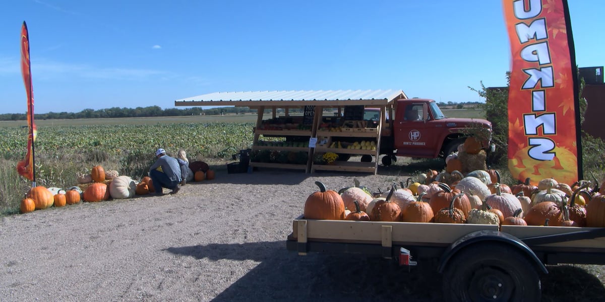 Father and son diversify family farm, expand to 7 generations [Video]