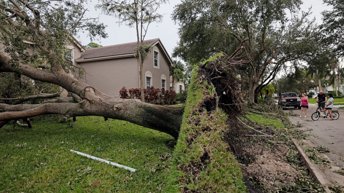 Palm Beach residents say they did not receive tornado alerts  NBC 6 South Florida [Video]