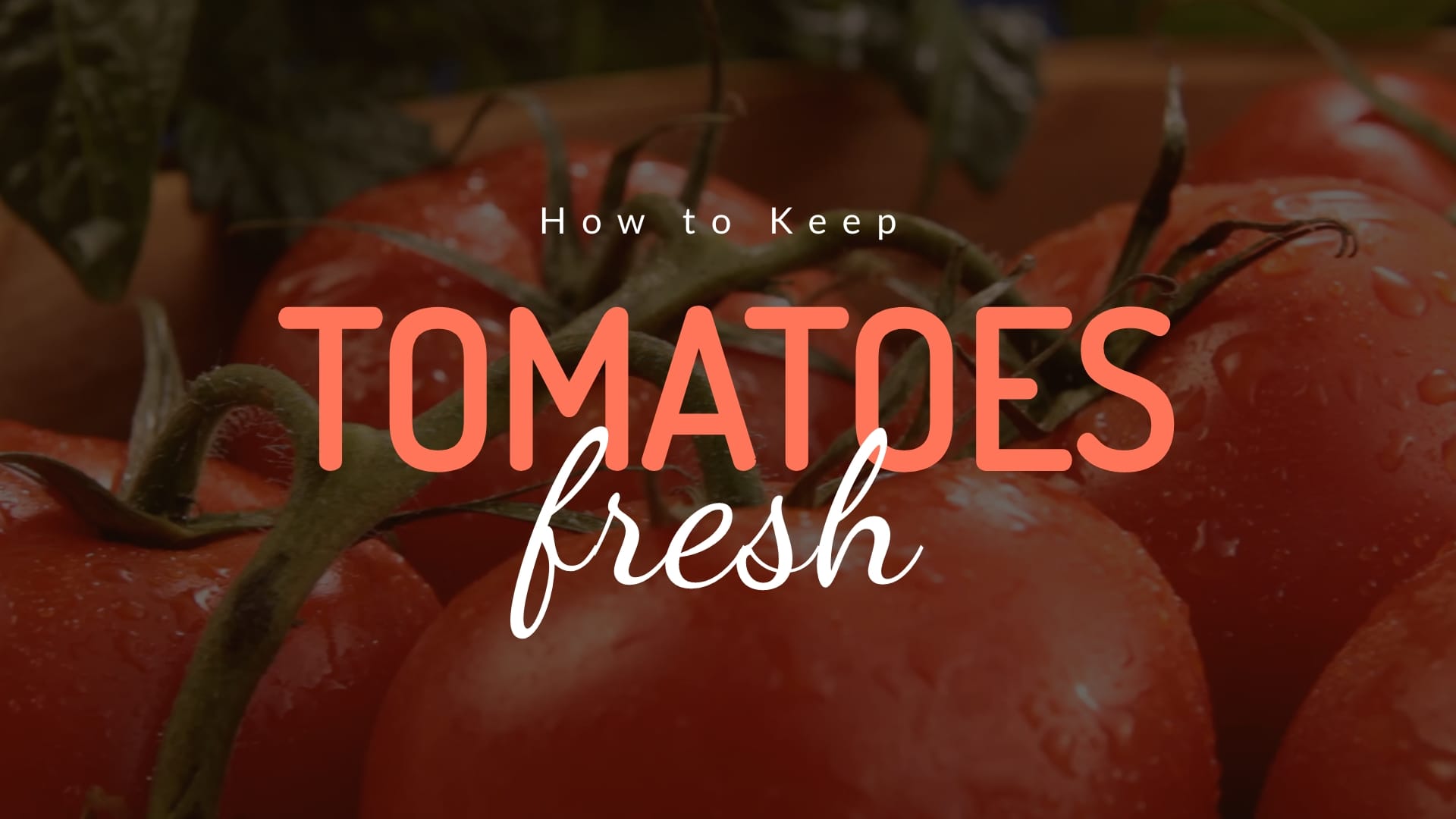 How to Keep Tomatoes Fresh Intro – Video Template