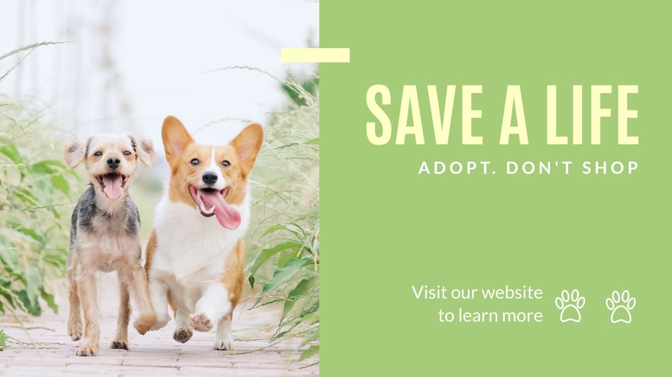 Save a Life adoption – Twitter Ad Template [Video]