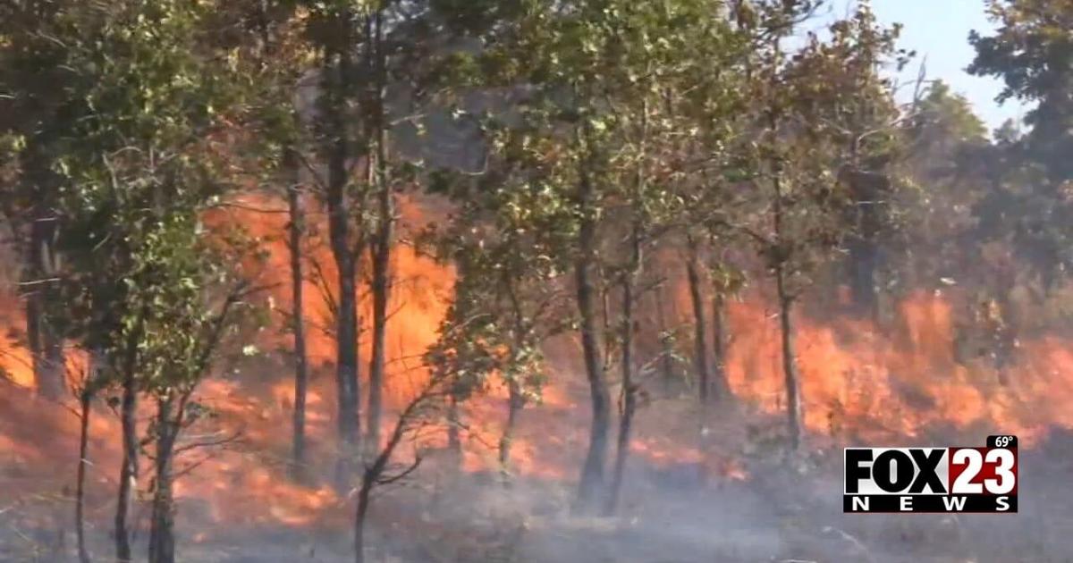 Video: Fire Weather Watch goes into effect Monday, burn bans across Green Country to be extended | News [Video]