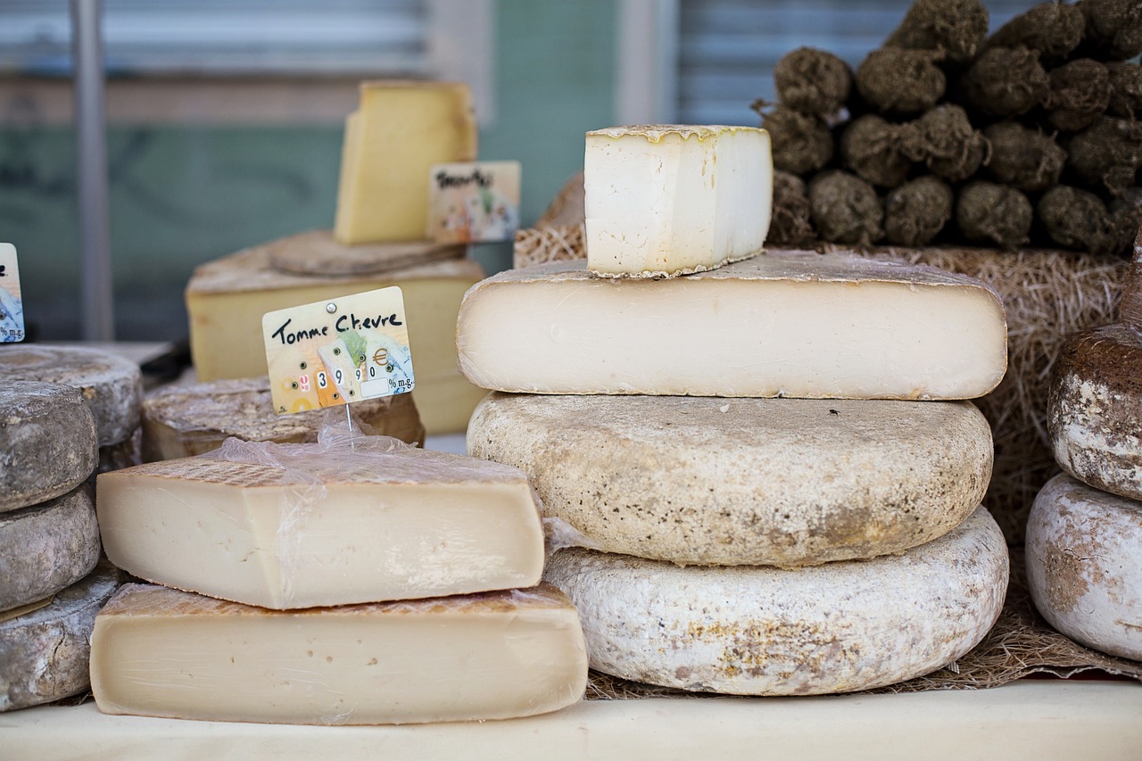 Increasing Interest in Cheese Production Fuels Dairy Sector Growth [Video]