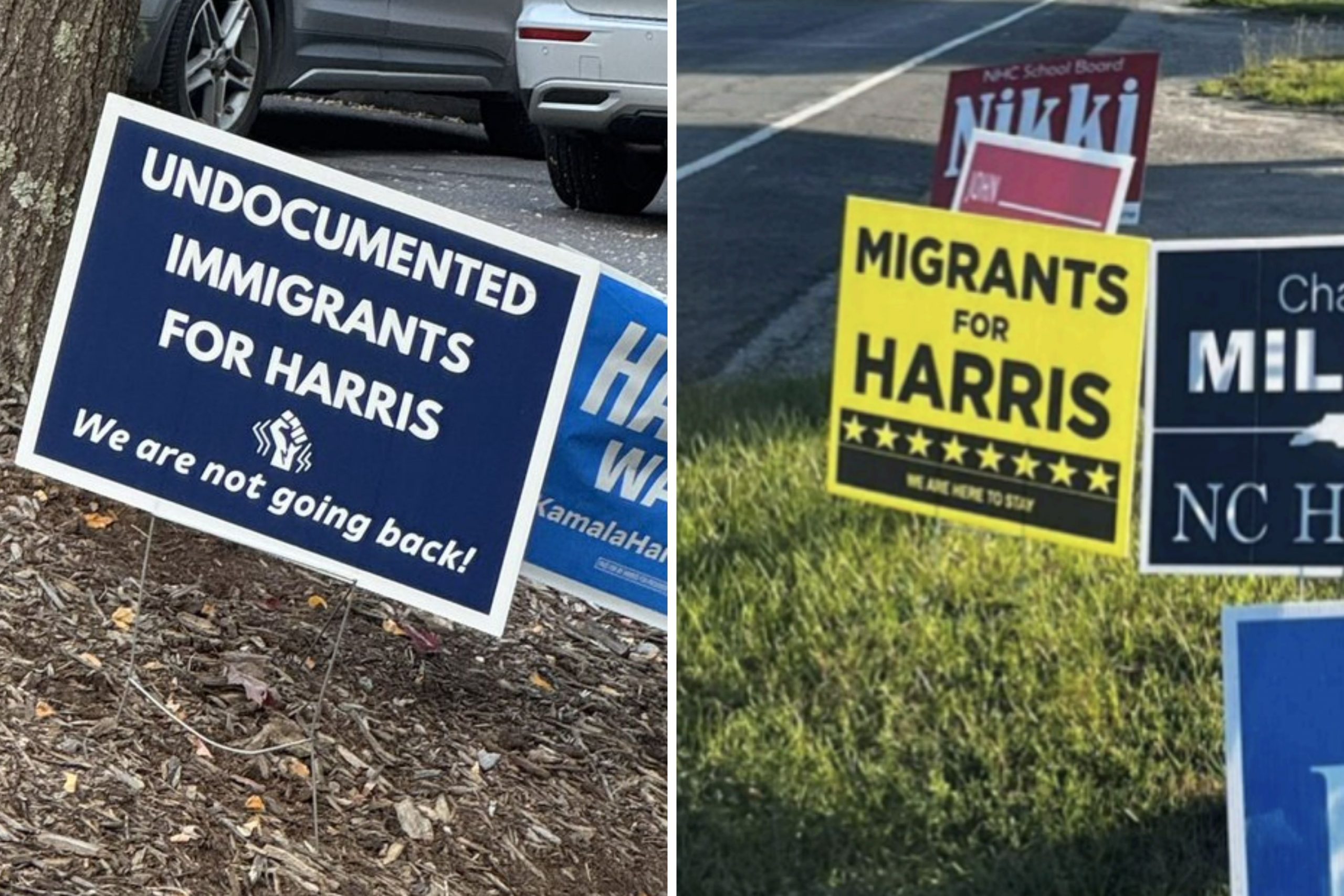 Are ‘Migrants for Kamala’ Signs Real? What We Know [Video]