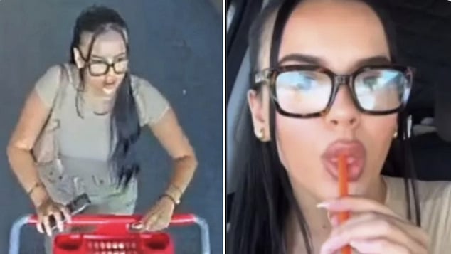 Marlena Velez TikToker arrested after Target shoplifting haul goes viral [Video]