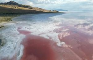 Dont brine your turkey in the lake, park tells Americans [Video]