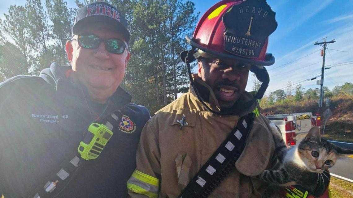 Firefighters rescue kitten stuck in tree in Heard County [Video]