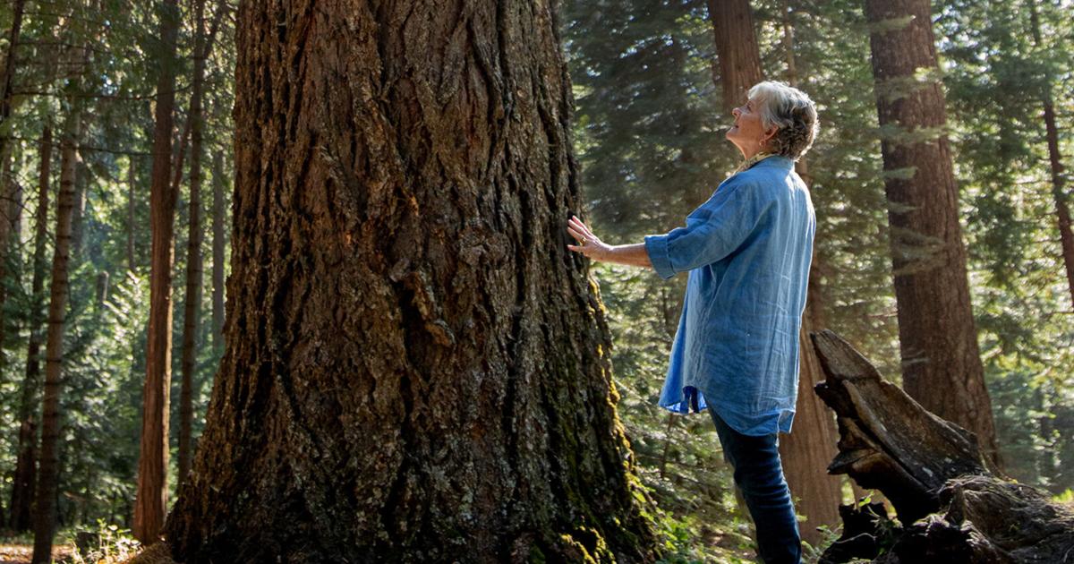 Nebraska’s Arbor Day Foundation evolves. Here’s our vision [Video]