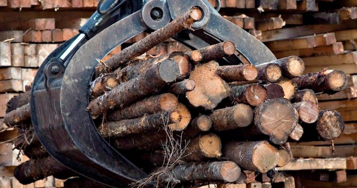 Quebec forest industry already under pressure amid Trump tariff threat: Legault [Video]