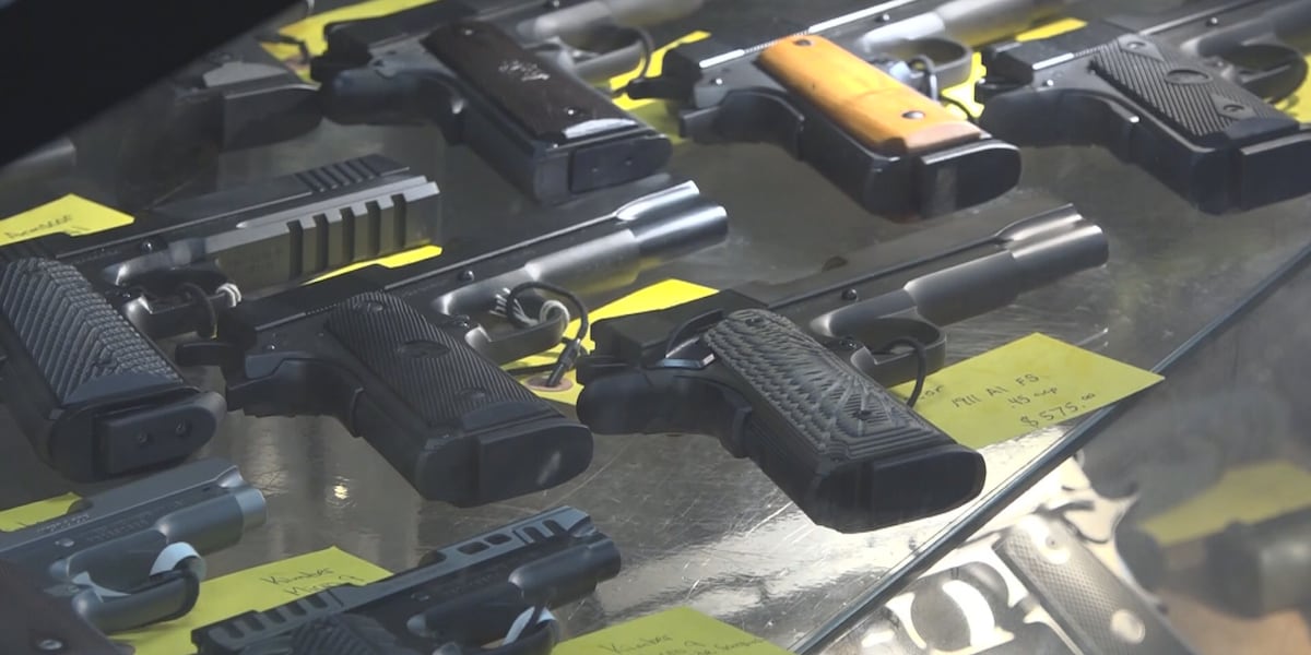 Missouri lawmakers look at strengthening gun laws in hopes of reducing violent crime [Video]