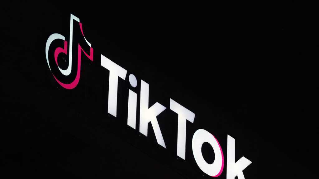 TikTok asks federal appeals court to bar enforcement of potential ban until Supreme Court review [Video]