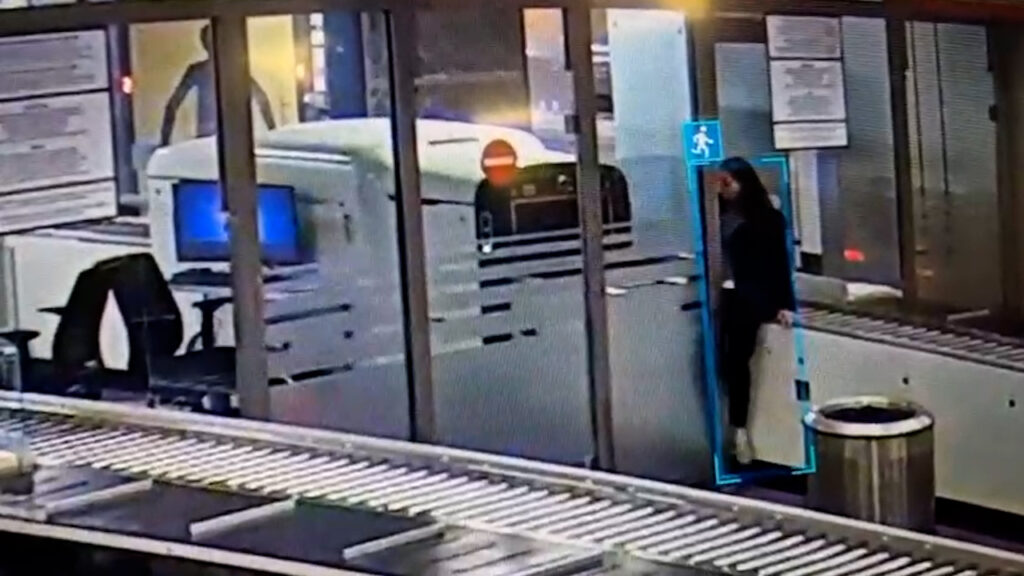 Movie-Like Scenes at Belgrade Airport: Woman evades Security and reaches Plane without a Ticket or Documents [Video]