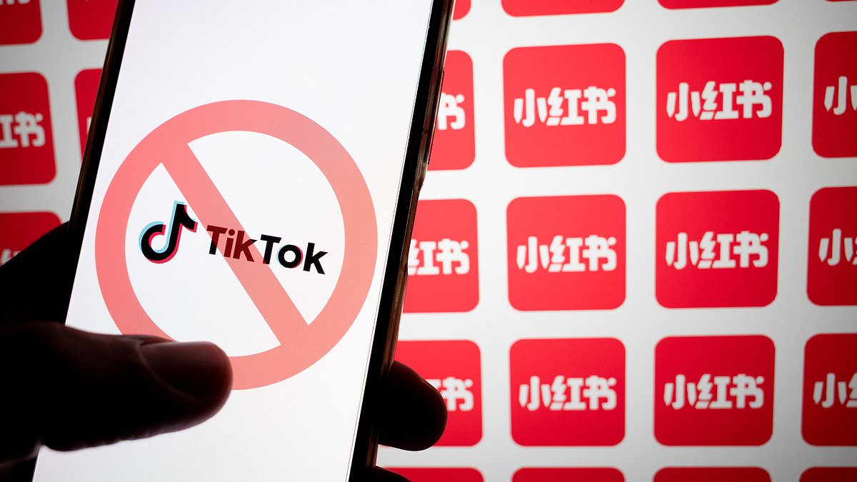 How to access TikTok after the ban: tips for using a VPN and all the alternative apps [Video]